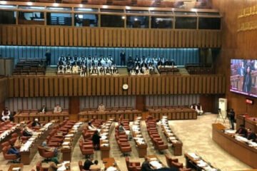 سینیٹ نے بچوں کی فحش ویڈیوز پر سخت سزاؤں کا بل منظور کرلیا