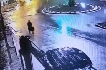 گدھے پر فرار ہونے والا چور گرفتار، 150 گرام سونا برآمد 4 گدھے پر فرار ہونے والا چور گرفتار، 150 گرام سونا برآمد