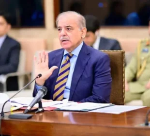 پاکستان میں اشیائے خورونوش کے وافر ذخائر موجود، خلیجی ممالک کو برآمدات بڑھانے کا فیصلہ 3 پاکستان میں اشیائے خورونوش کے وافر ذخائر موجود، خلیجی ممالک کو برآمدات بڑھانے کا فیصلہ