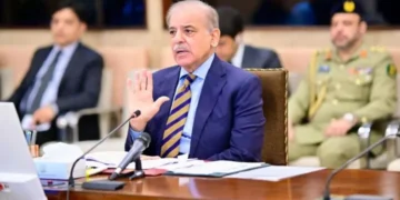 پاکستان میں اشیائے خورونوش کے وافر ذخائر موجود، خلیجی ممالک کو برآمدات بڑھانے کا فیصلہ