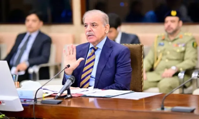 1515140پاکستان میں اشیائے خورونوش کے وافر ذخائر موجود، خلیجی ممالک کو برآمدات بڑھانے کا فیصلہ1a6c3202