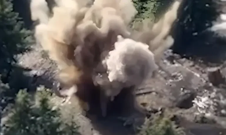 1515280چترال: سیکیورٹی فورسز کی سرحدی علاقے میں کارروائی828bc63b