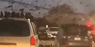 تل ابیب کے آسمان پر کوؤں کا غول شہریوں کے لیے حیرت کا باعث