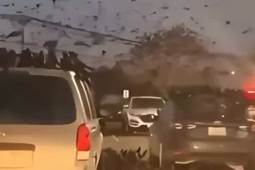 تل ابیب کے آسمان پر کوؤں کا غول شہریوں کے لیے حیرت کا باعث 3 تل ابیب کے آسمان پر کوؤں کا غول شہریوں کے لیے حیرت کا باعث