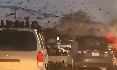 تل ابیب کے آسمان پر کوؤں کا غول شہریوں کے لیے حیرت کا باعث 1 تل ابیب کے آسمان پر کوؤں کا غول شہریوں کے لیے حیرت کا باعث