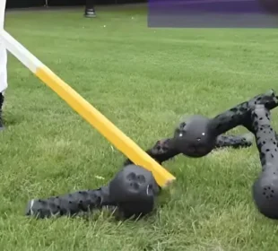 قدرتی جانداروں کی طرح خود کو دوبارہ فعال کرنے والے روبوٹس