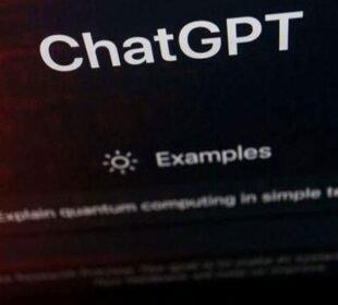 صرف ایک سال میں صارفین کی تعداد میں دوگنا اضافہ