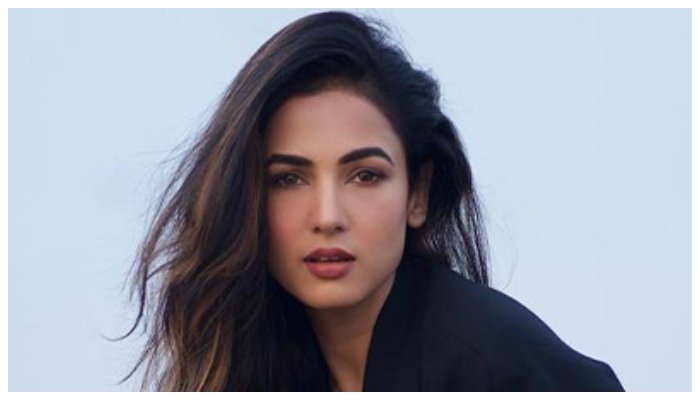 بھارتی اداکارہ سونل چوہان دبئی ائیرپورٹ پر پھنس گئیں، حکومت سے مدد کی اپیل 1 بھارتی اداکارہ سونل چوہان دبئی ائیرپورٹ پر پھنس گئیں، حکومت سے مدد کی اپیل