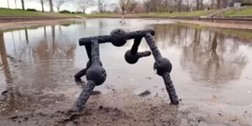 امریکہ کی یونیورسٹی نے تیار کیا جدید مکڑی نما روبوٹ