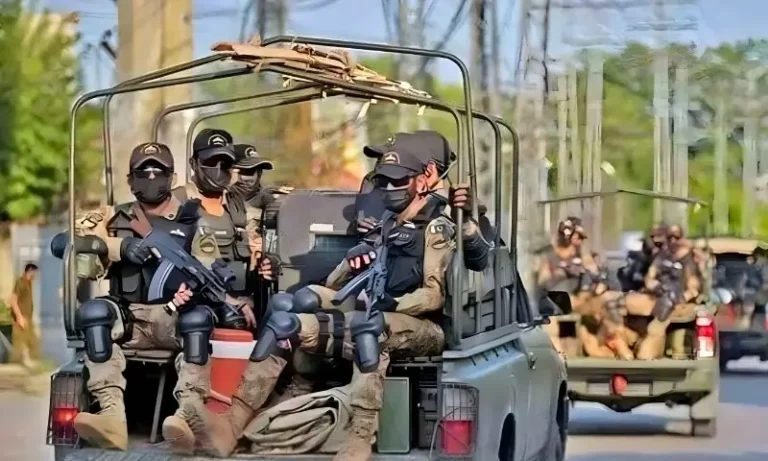 0110233خیبر اور بنوں میں سیکیورٹی فورسز کی کارروائی، 13 دہشت گرد ہلاک99571a20