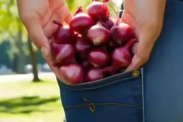 جیب میں پیاز رکھنے سے گرمی اور لُو سے بچاؤ—حقیقت یا غلط فہمی؟