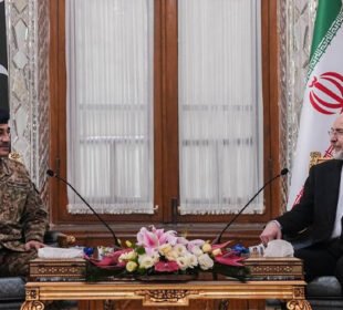 تہران: پاکستان اور ایران کے اعلیٰ حکام کے درمیان اہم ملاقاتیں، خطے میں امن و استحکام پر زور