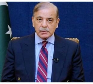 لبنان کی خودمختاری اور سالمیت کی مکمل حمایت جاری رہے گی