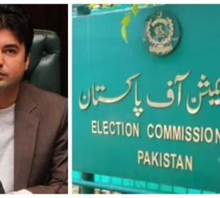 مراد سعید کی سینیٹ نشست پر ضمنی انتخاب مؤخر