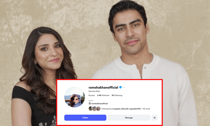 رمشا خان کا بڑا قدم: سوشل میڈیا سے سب کچھ غائب! مداح حیران