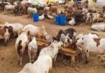 پاکستان میں عیدالاضحیٰ 2026 کی ممکنہ تاریخ سے متعلق سائنسی پیش گوئی
