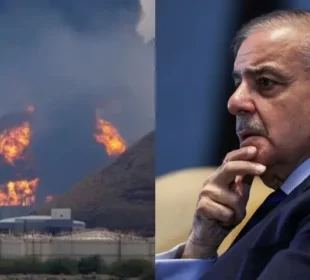 پاکستان سمیت خلیجی ممالک کا یو اے ای سے اظہارِ یکجہتی 4 پاکستان سمیت خلیجی ممالک کا یو اے ای سے اظہارِ یکجہتی