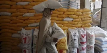 کراچی میں آٹے کی نئی سرکاری قیمتیں جاری، بعض اقسام مہنگی بعض سستی 20 کراچی میں آٹے کی نئی سرکاری قیمتیں جاری، بعض اقسام مہنگی بعض سستی