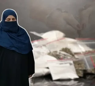 ماں، باپ اور بیٹے پر مشتمل گروہ جیلوں تک منشیات پہنچانے میں ملوث