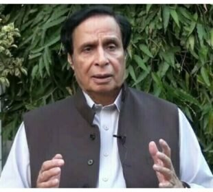 پرویز الہٰی نے پیپلز پارٹی میں شمولیت کی خبروں کی تردید کر دی