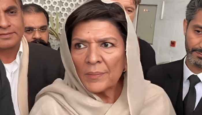 عمران خان سے ملاقات کے دن پی ٹی آئی قیادت کی غیرحاضری پر سوالات