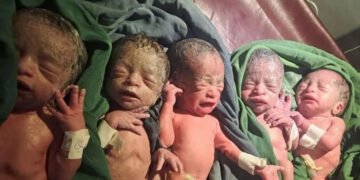 ایتھوپیا میں 12 سال بعد خاتون کے ہاں بیک وقت پانچ بچوں کی پیدائش 21 ایتھوپیا میں 12 سال بعد خاتون کے ہاں بیک وقت پانچ بچوں کی پیدائش