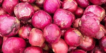 گرمیوں میں سرخ پیاز کا استعمال ہیٹ اسٹروک سے بچاؤ میں مددگار قرار 5 گرمیوں میں سرخ پیاز کا استعمال ہیٹ اسٹروک سے بچاؤ میں مددگار قرار