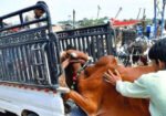 عوامی تحفظ کیلئے موٹرویز پر نئی پابندی نافذ