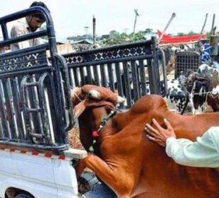 عوامی تحفظ کیلئے موٹرویز پر نئی پابندی نافذ