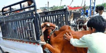 عوامی تحفظ کیلئے موٹرویز پر نئی پابندی نافذ 9 عوامی تحفظ کیلئے موٹرویز پر نئی پابندی نافذ