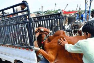 عوامی تحفظ کیلئے موٹرویز پر نئی پابندی نافذ