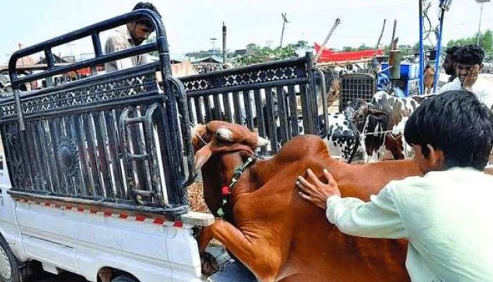 عوامی تحفظ کیلئے موٹرویز پر نئی پابندی نافذ