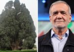 ایران میں ہزاروں سال پرانا درخت، صدر پزشکیان کی ٹرمپ کو بالواسطہ یاد دہانی؟
