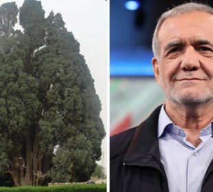ایران میں ہزاروں سال پرانا درخت، صدر پزشکیان کی ٹرمپ کو بالواسطہ یاد دہانی؟