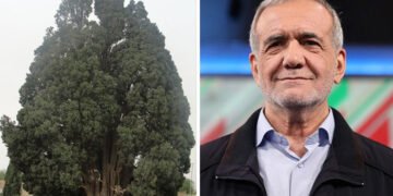 ایران میں ہزاروں سال پرانا درخت، صدر پزشکیان کی ٹرمپ کو بالواسطہ یاد دہانی؟ 8 ایران میں ہزاروں سال پرانا درخت، صدر پزشکیان کی ٹرمپ کو بالواسطہ یاد دہانی؟