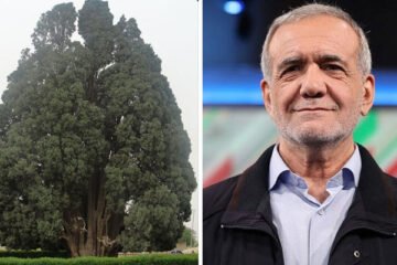 ایران میں ہزاروں سال پرانا درخت، صدر پزشکیان کی ٹرمپ کو بالواسطہ یاد دہانی؟