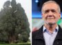 ایران میں ہزاروں سال پرانا درخت، صدر پزشکیان کی ٹرمپ کو بالواسطہ یاد دہانی؟