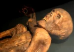 اوٹزی آئس مین کی ممی میں ہزاروں سال پرانے جراثیم کی سرگرمی نے سائنسدانوں کو حیران کر دیا