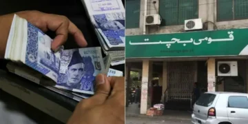 قومی بچت اسکیموں میں منافع کی شرح میں اضافہ، شہریوں کے لیے نئی سہولت کا اعلان