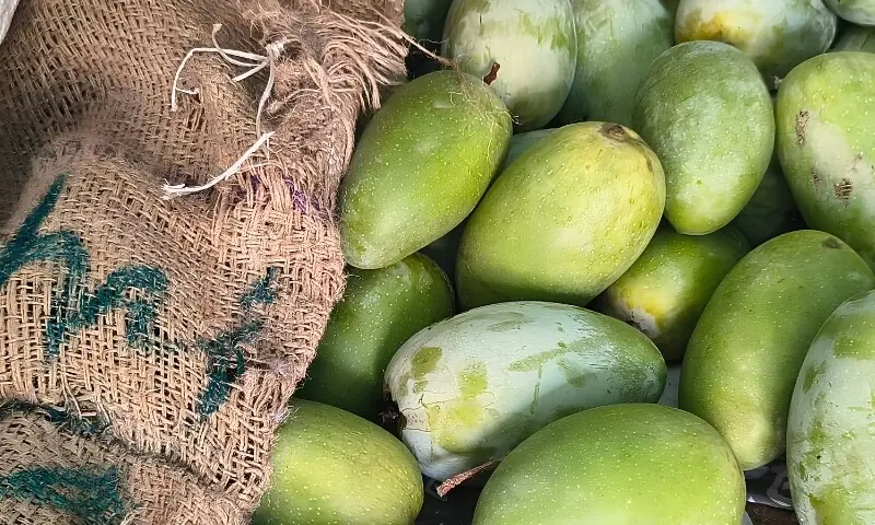 گھر میں آم پکانے کے آسان اور قدرتی طریقے — کیمیکلز سے بچاؤ کا بہتر حل