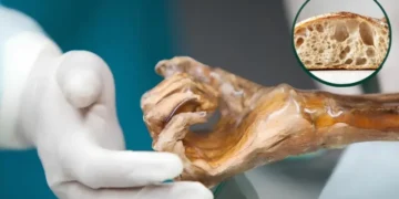 5000 سال پرانے خمیر سے روٹی تیار، سائنسدان بیئر بنانے کی تیاری میں