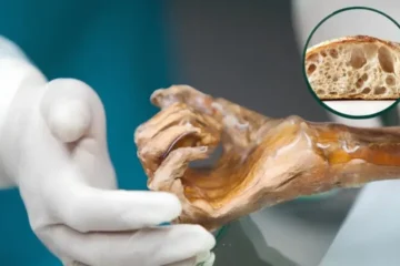 5000 سال پرانے خمیر سے روٹی تیار، سائنسدان بیئر بنانے کی تیاری میں 2 5000 سال پرانے خمیر سے روٹی تیار، سائنسدان بیئر بنانے کی تیاری میں