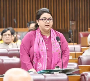 ٹیلی کام بل تنازع: شزا فاطمہ کے استعفے کا مطالبہ کیوں کیا جا رہا ہے؟
