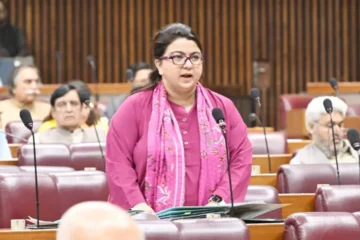 ٹیلی کام بل تنازع: شزا فاطمہ کے استعفے کا مطالبہ کیوں کیا جا رہا ہے؟
