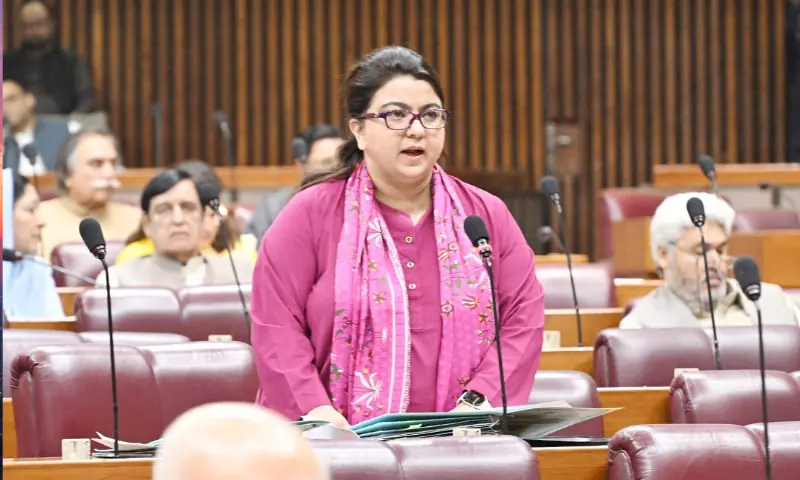 ٹیلی کام بل تنازع: شزا فاطمہ کے استعفے کا مطالبہ کیوں کیا جا رہا ہے؟