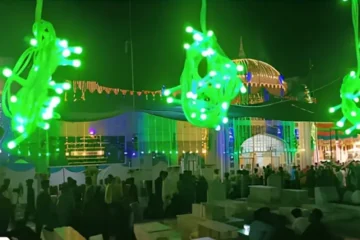 پاکپتن عرس میں افسوسناک واقعہ، زائرین کی بھگدڑ میں درجنوں زخمی 2 پاکپتن عرس میں افسوسناک واقعہ، زائرین کی بھگدڑ میں درجنوں زخمی