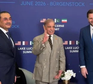 سوئٹزرلینڈ مذاکرات، پاکستان کی سفارتی کامیابی قرار