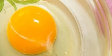 انڈے میں نظر آنے والی سفید تار کیا ہوتی ہے؟ حقیقت جان کر آپ حیران رہ جائیں گے