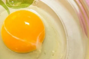 انڈے میں نظر آنے والی سفید تار کیا ہوتی ہے؟ حقیقت جان کر آپ حیران رہ جائیں گے