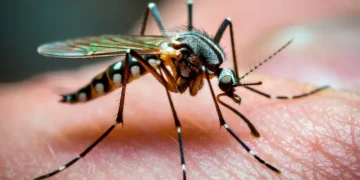 کھجلی کو کھجانے سے مسئلہ کیوں بڑھ جاتا ہے؟